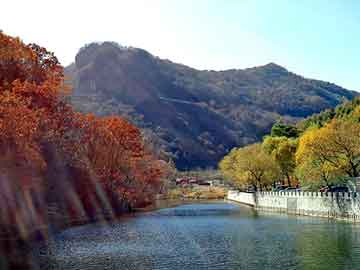 正版澳门天天开彩大全，山东现汽车屠宰场